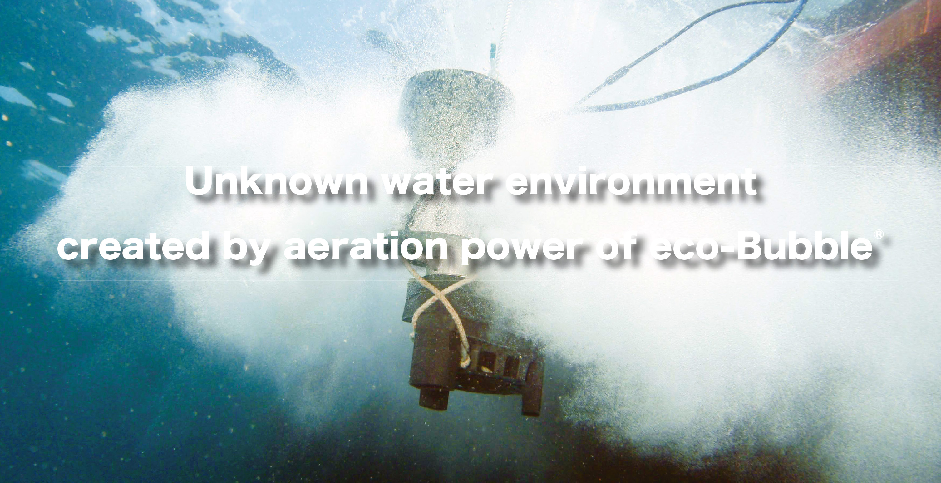 画像の説明 画像の説明