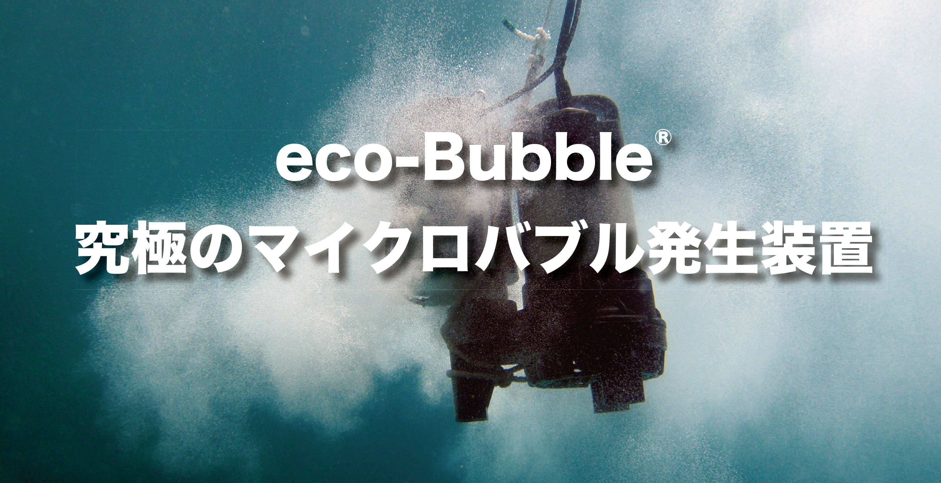 画像の説明 画像の説明